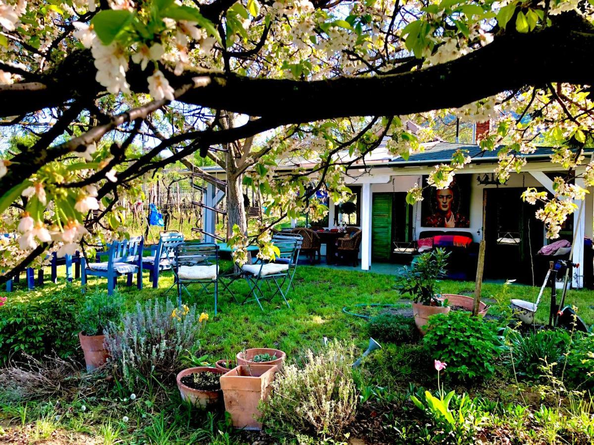 Bohemian Eco Lodge At Lake Balaton Kisapati Esterno foto
