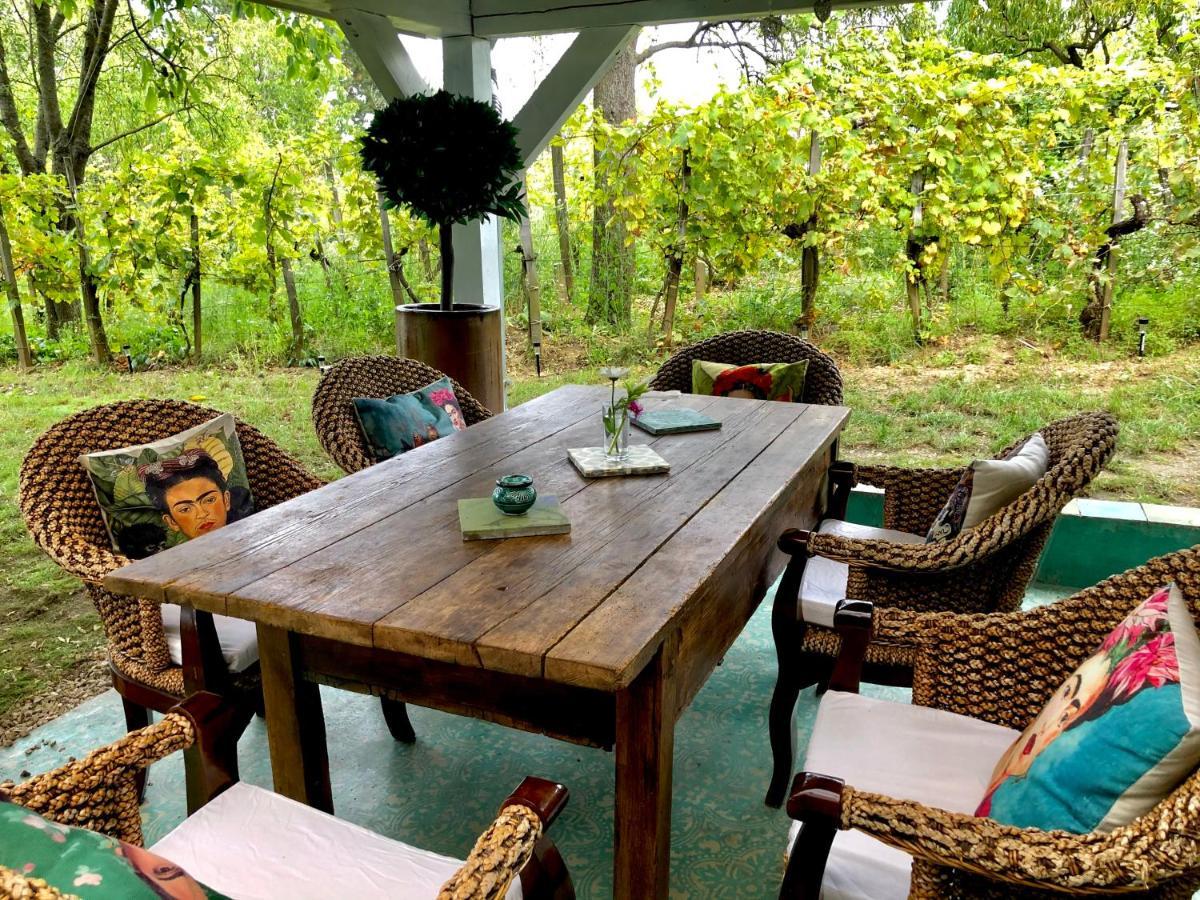 Bohemian Eco Lodge At Lake Balaton Kisapati Esterno foto