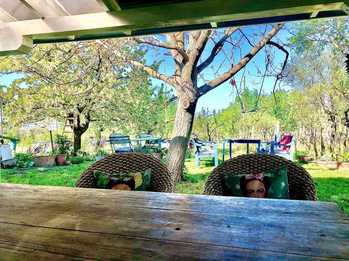 Bohemian Eco Lodge At Lake Balaton Kisapati Esterno foto