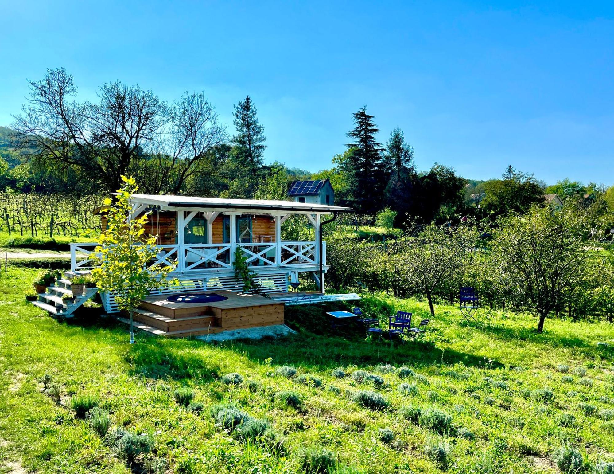 Bohemian Eco Lodge At Lake Balaton Kisapati Esterno foto